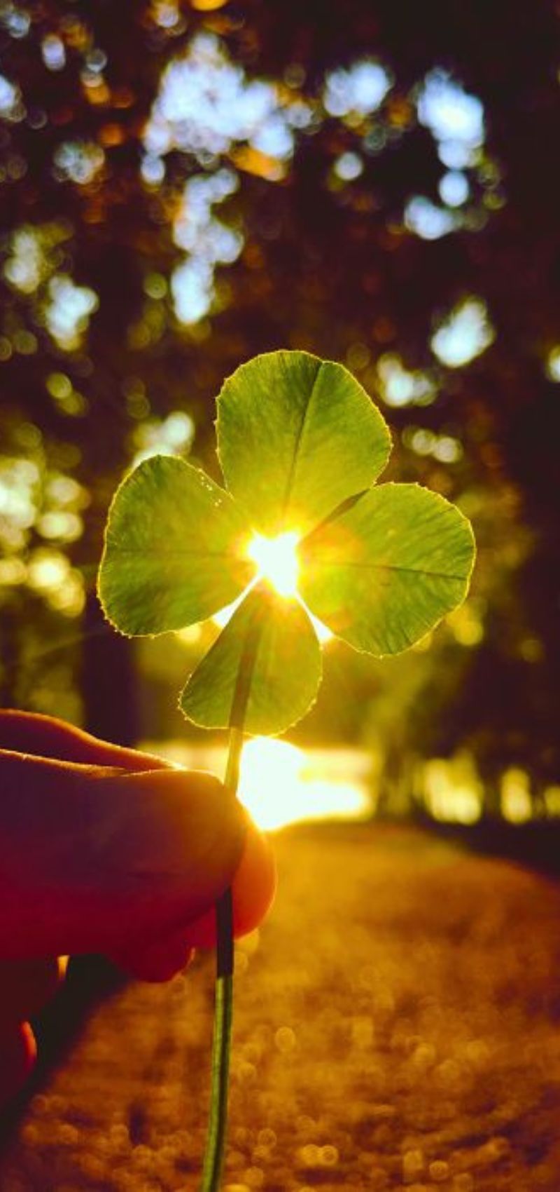 voyance chance